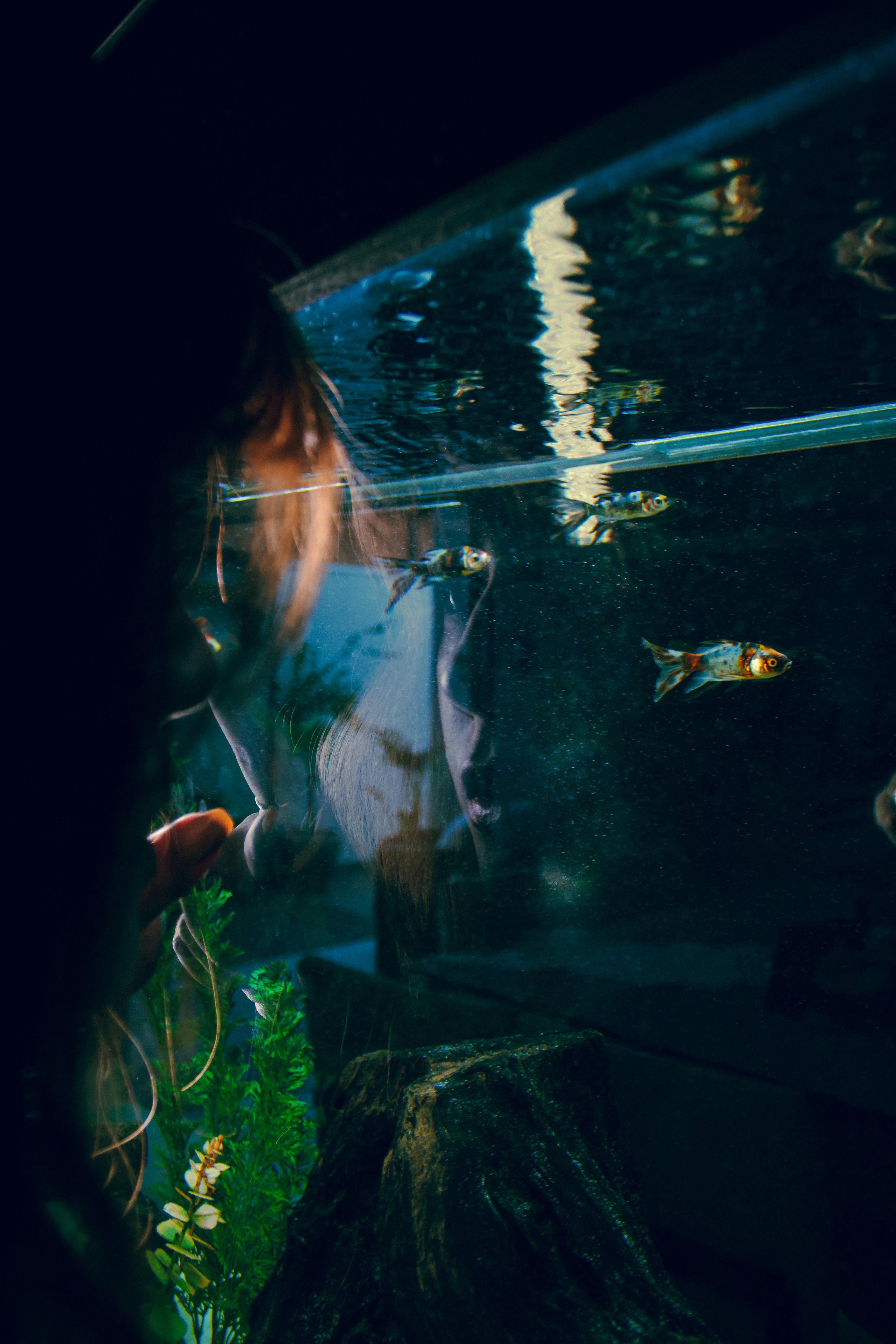 Terrarium & Aquarium Essentials