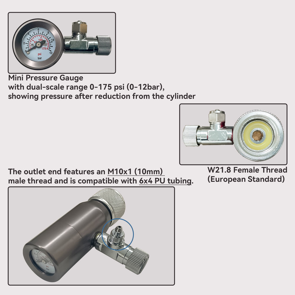 CO2 Regulator 4.5 Bar Output W21.8 Thread