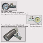 CO2 Regulator 4.5 Bar Output W21.8 Thread