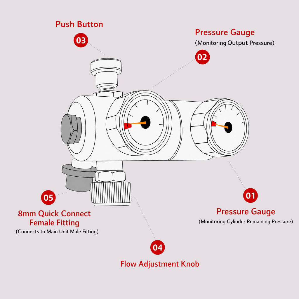 Dual-Stage Pressure Regulator with Dual Gauges & Push Button Valve