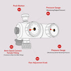 Dual-Stage Pressure Regulator with Dual Gauges & Push Button Valve