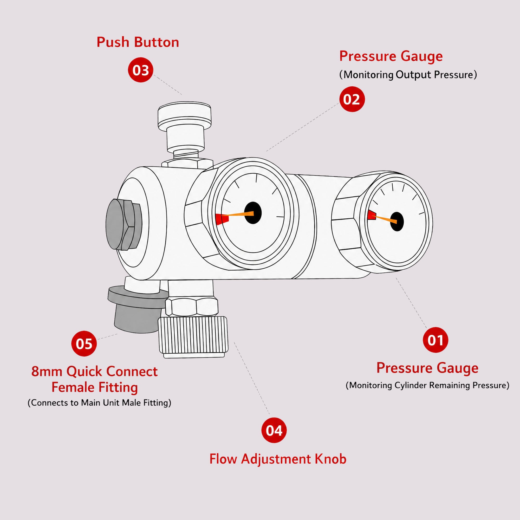 Dual-Stage Pressure Regulator with Dual Gauges & Push Button Valve