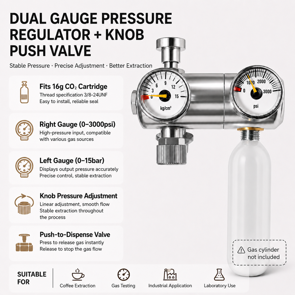 Dual-Stage Pressure Regulator with Dual Gauges & Push Button Valve