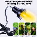 E27 Reptile Heat Lamp Stand