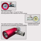 CO2 Regulator CGA320 Thread 4.5 Bar Output